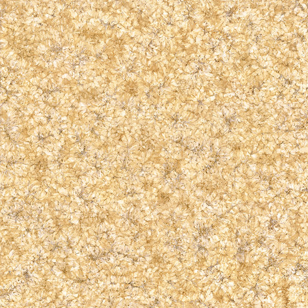 ku2.0΢ʯKFA58033Ƭͼ